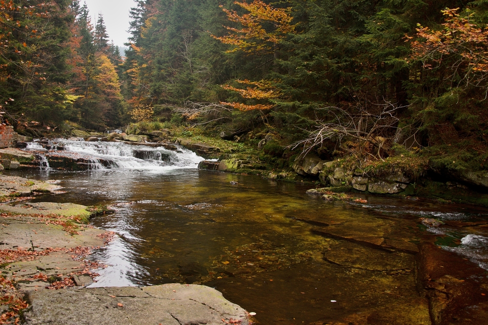 {$custom.CzechRepublic$}