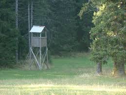Pirch / Affût surélevé / Tree stand